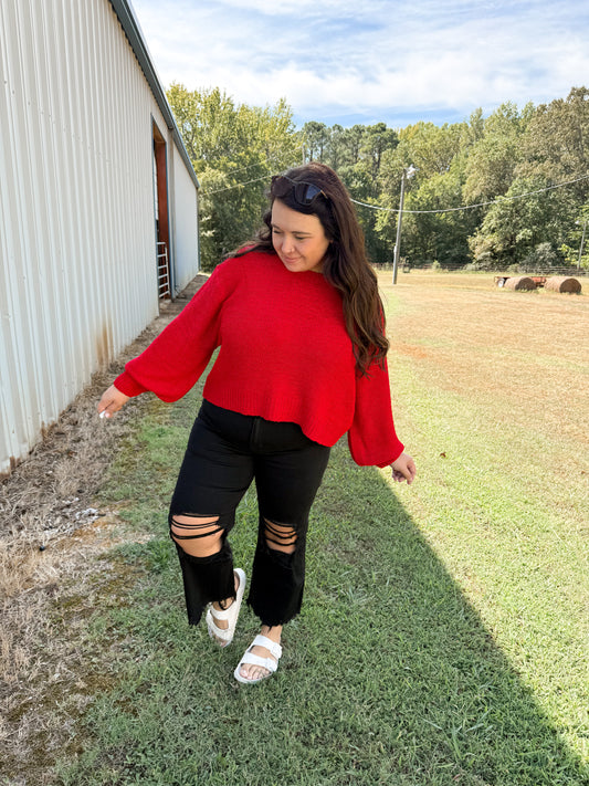 Distressed Black Crop Flare Jeans